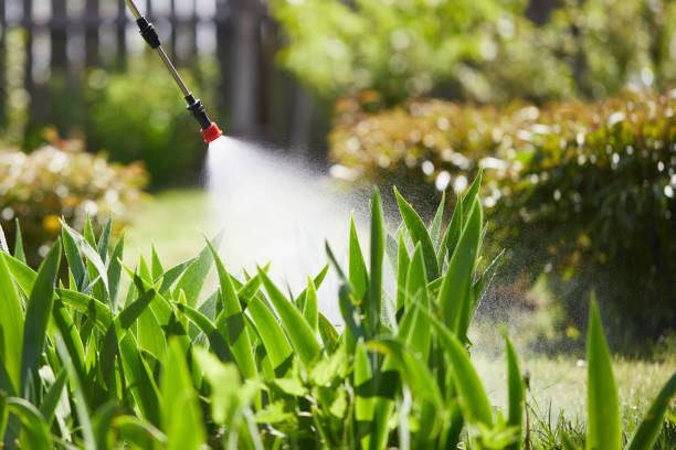 24/7 Emergency Wasp Removal experts in Walnut, IL