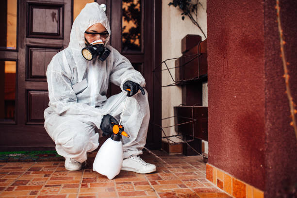 Reliable Wasp Removal contractor in Walnut, IL by Show Me Pest Control